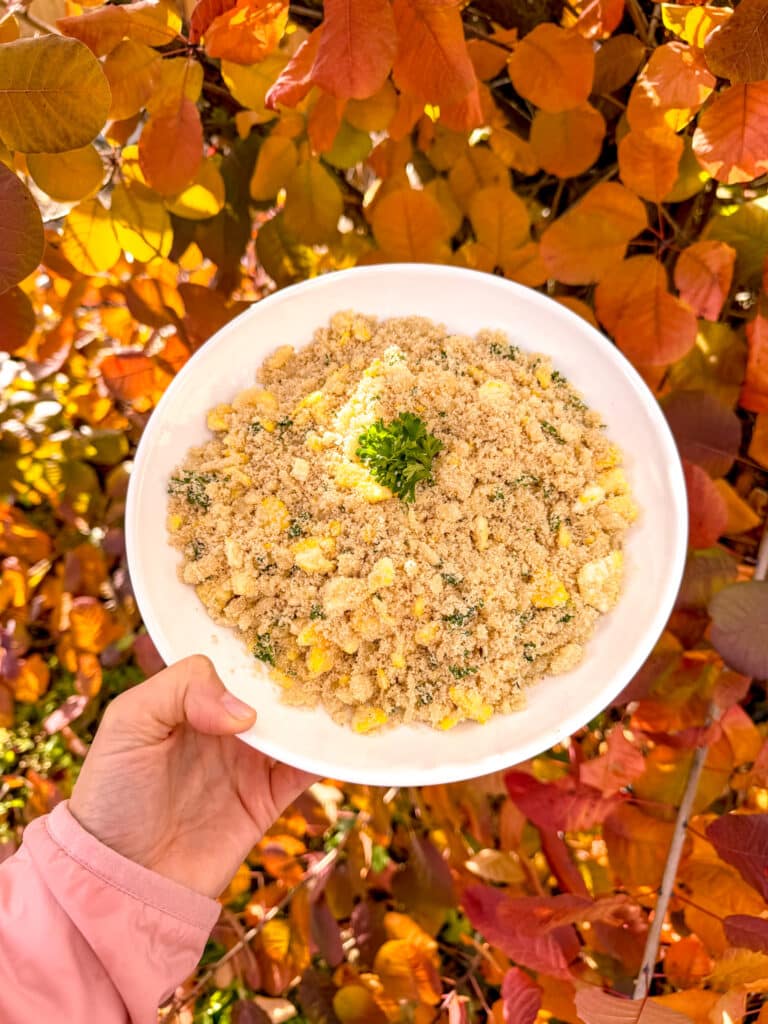 farofa plate being held by a hand near fall foliage
