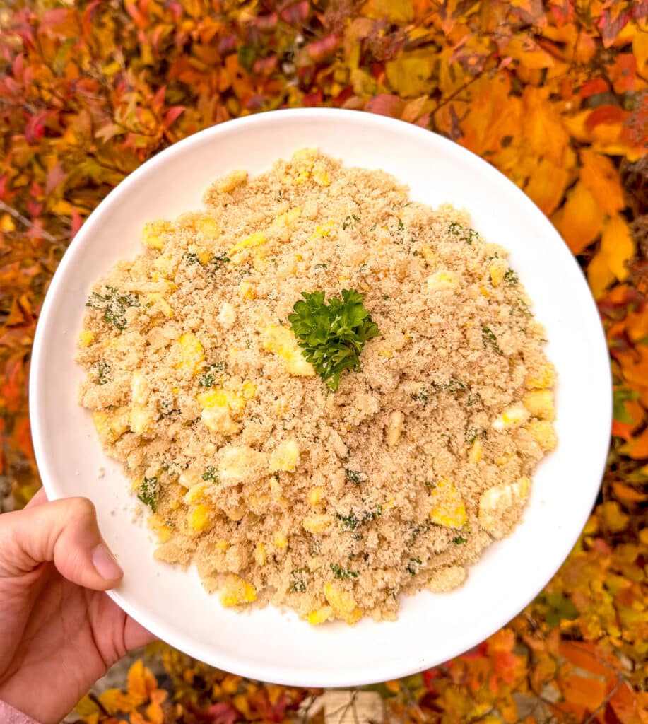 farofa near fall foliage