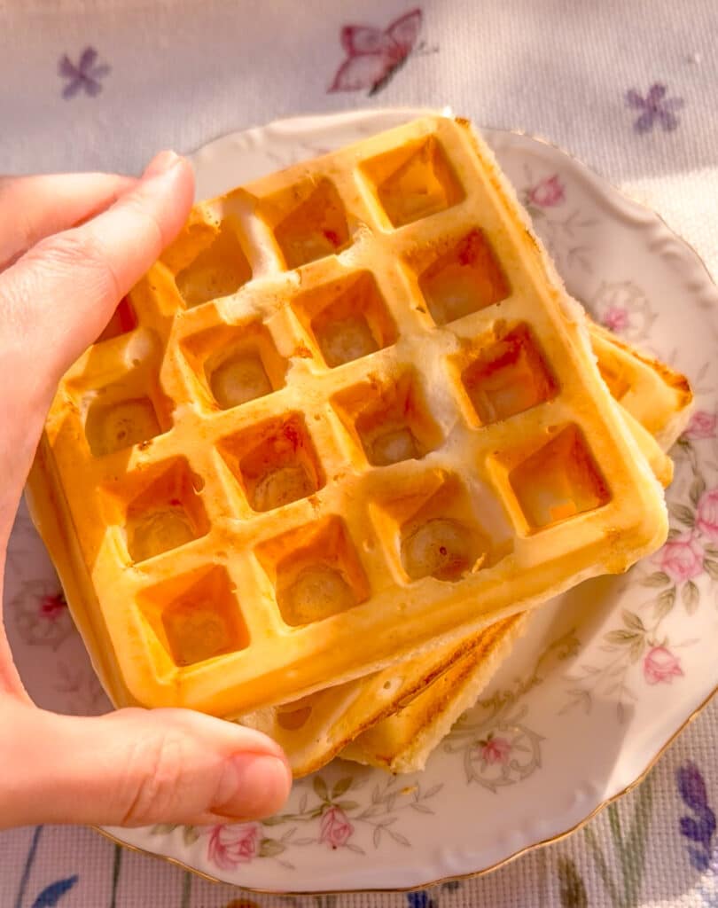 hand on brazilian cheese bread waffles