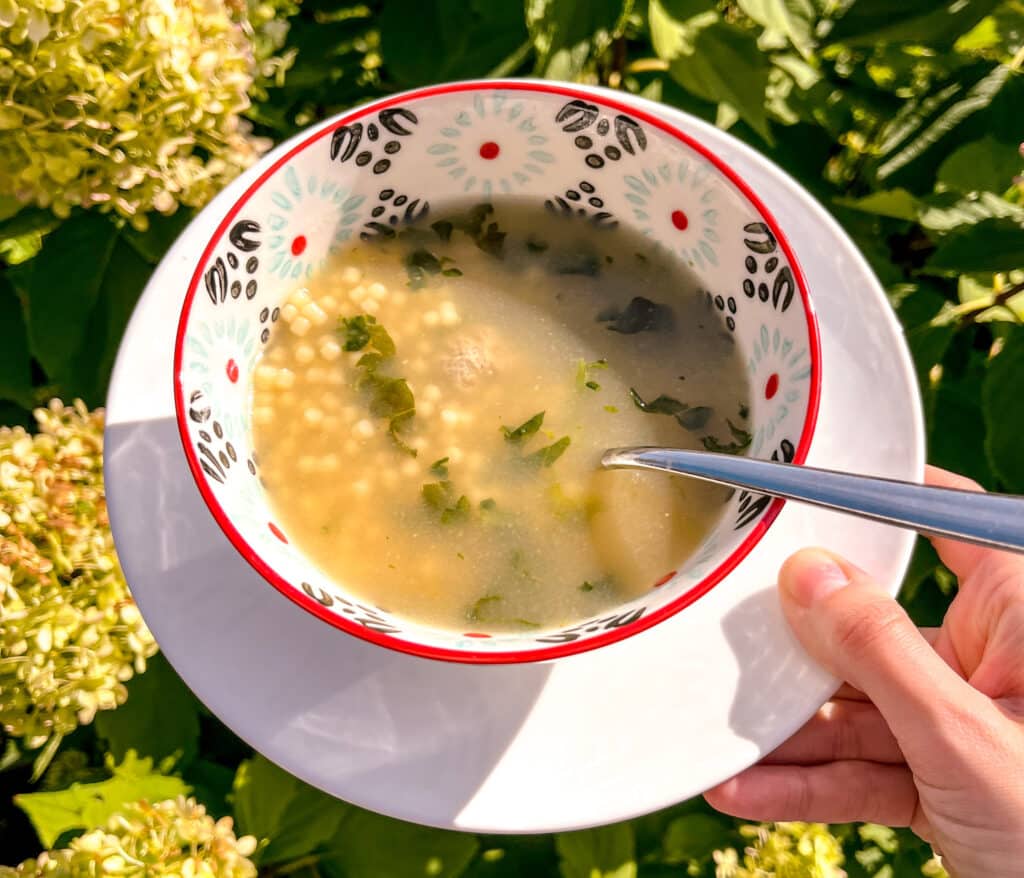 wedding soup in a colorful bowl against greenery in background