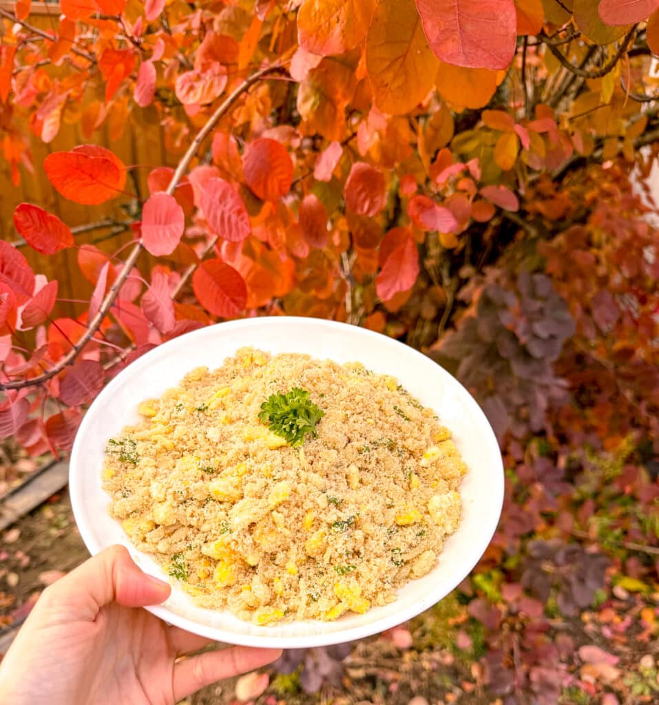 farofa near fall foliage