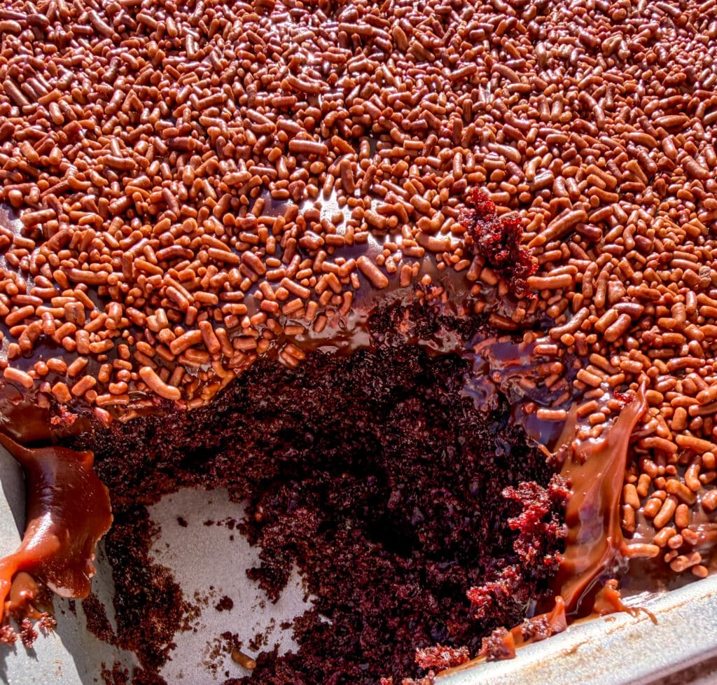 chocolate cake sheet pan covered in sprinkles