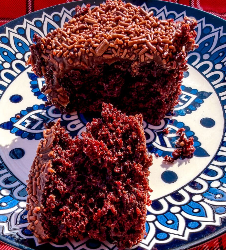 chocolate cake on a white and blue plate