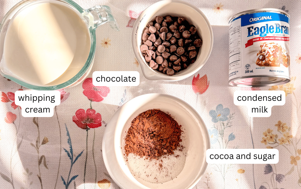 labeled ingredients for my brigadeiro frosting