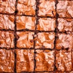 brownies up close shot cut into squares