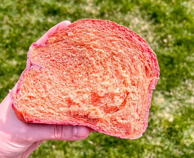 sliced beet bread against the grass