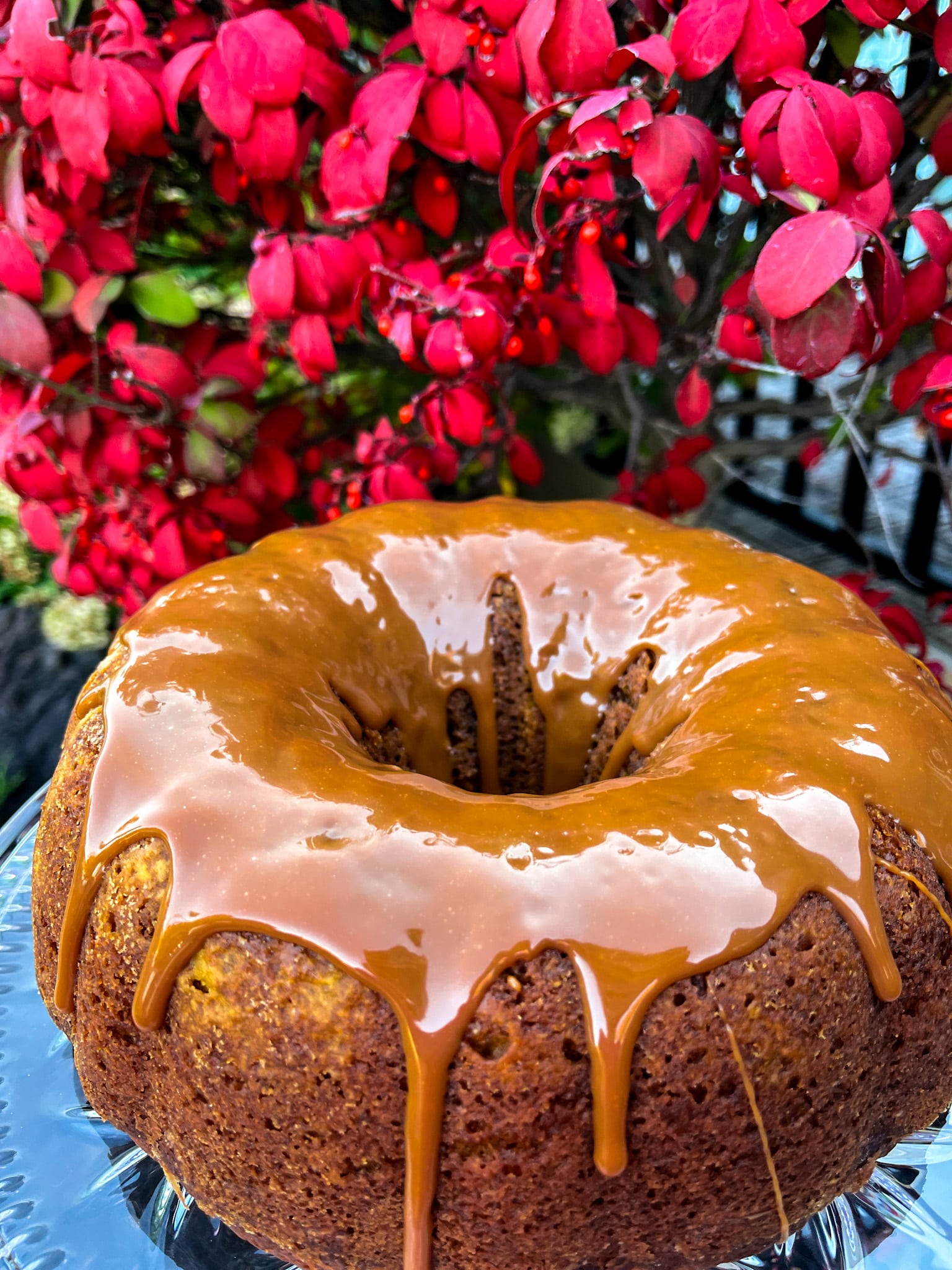 pumpkin cake with dulce de leche drizzle against red foliage
