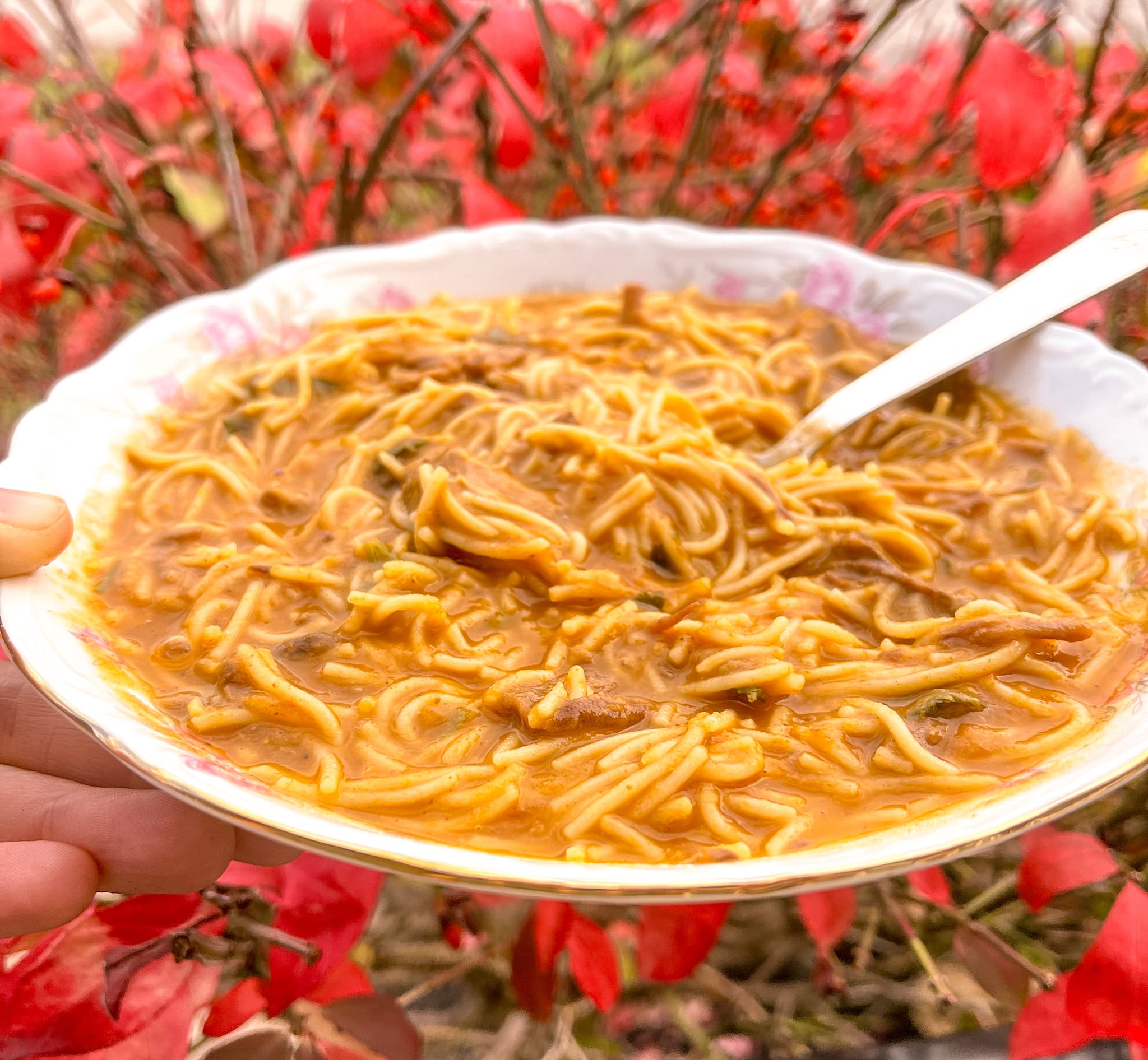 cozy beef and noodle soup