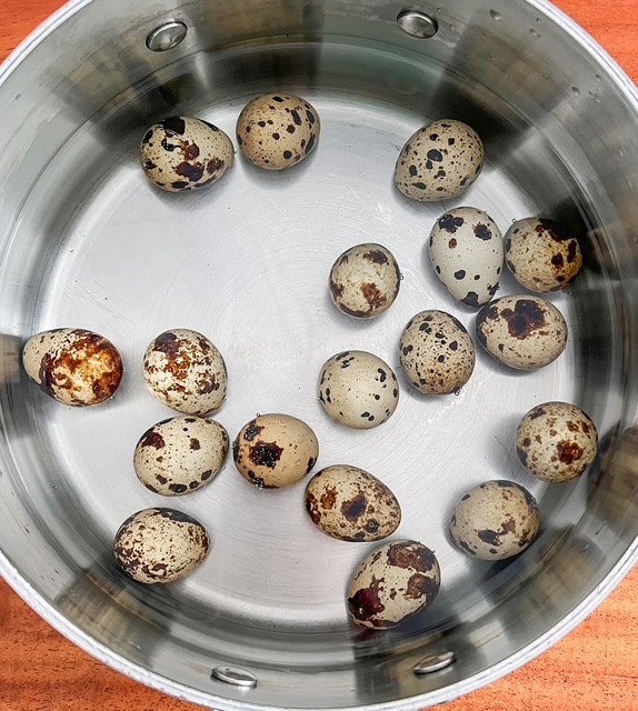 quail eggs in a pot ready to cook