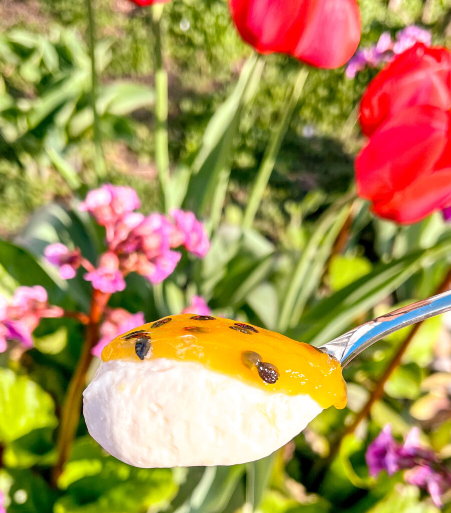 maracuja passion fruit mousse on a spoon. layers apparent, flower, background, tropical vibe, mousse maracuja.