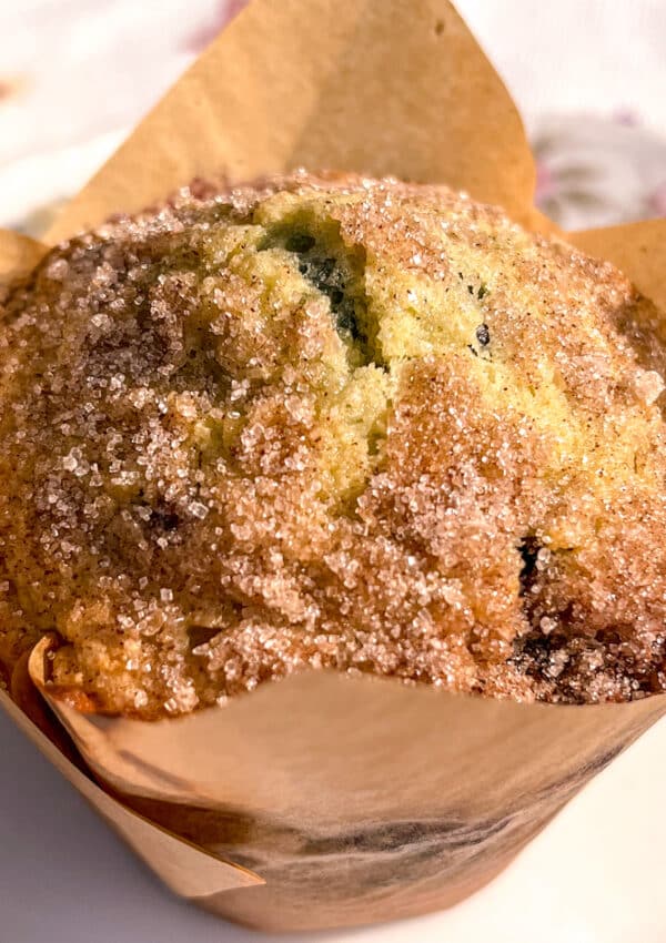 Fresh blueberry muffin wrapped in a tulip liner with golden, domed top
