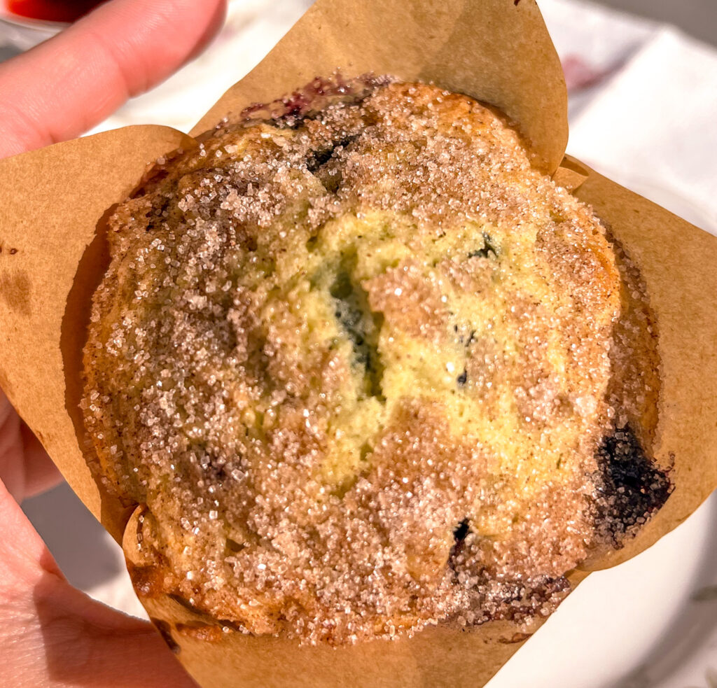 Fresh blueberry muffin wrapped in a tulip liner with golden, domed top