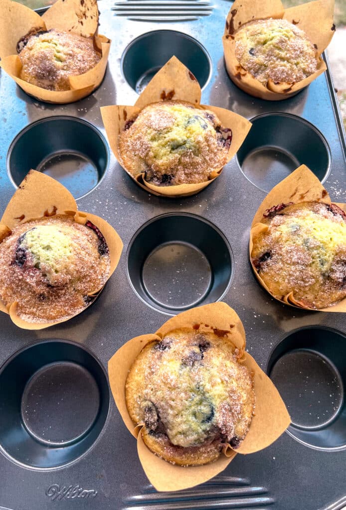 best Easy and Fluffy Blueberry Muffins  in tulip liners arranged in a muffin pan, filling every other cavity for even baking.