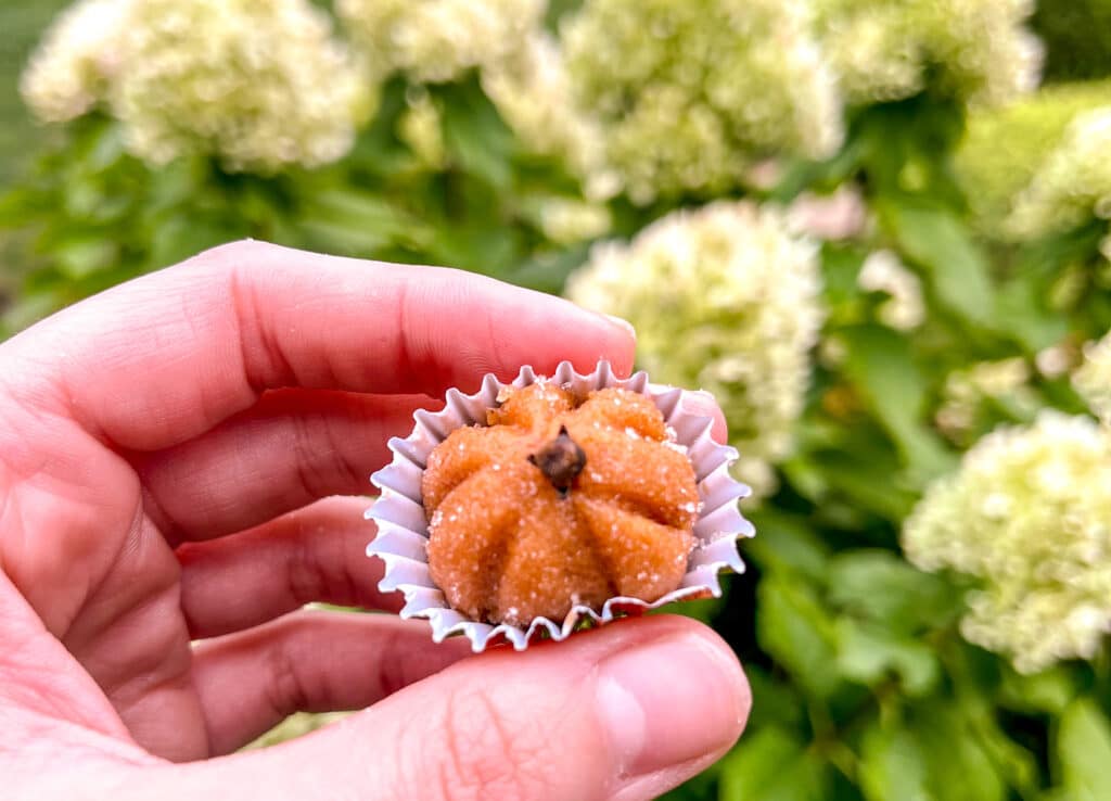 Pumpkin Spice Latte Brigadeiro being held