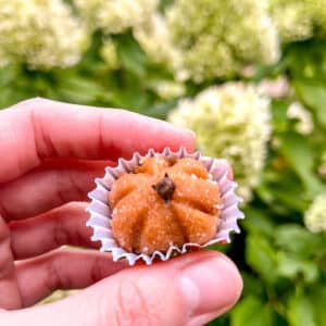 Pumpkin Spice Latte brigadeiro being held by hand, flowers on the background