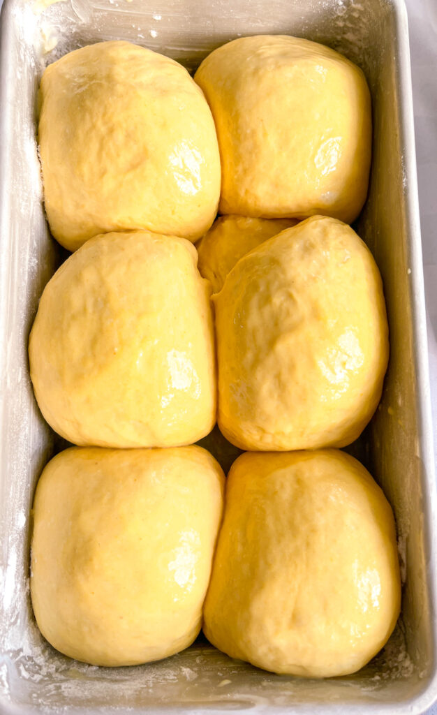 Pumpkin dinner rolls after rising