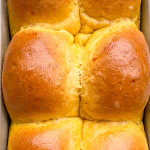 Pumpkin Dinner Rolls
