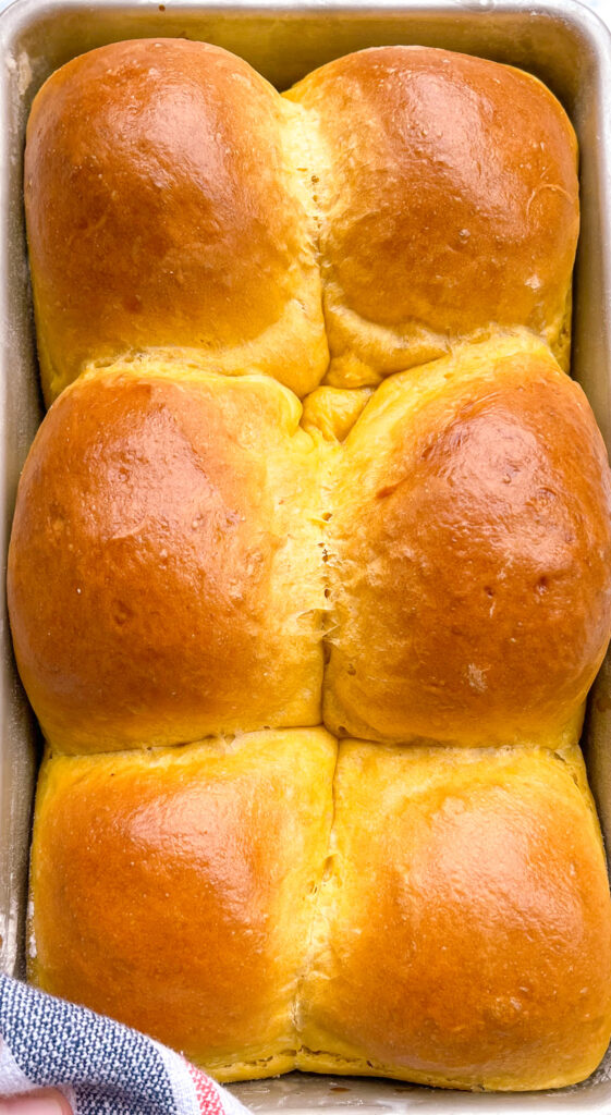 Up close shot of Pumpkin dinner rolls