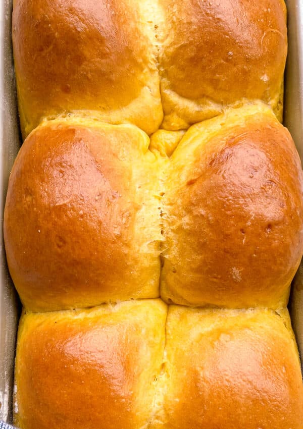 Pumpkin Dinner Rolls