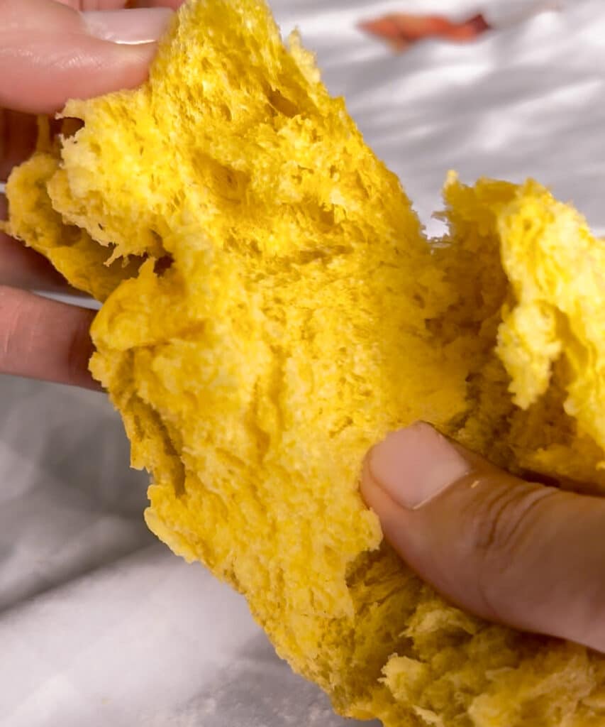 Pumpkin dinner rolls being ripped to show crumb