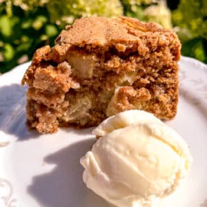 apple cake slice served with ice cream flowers on the background