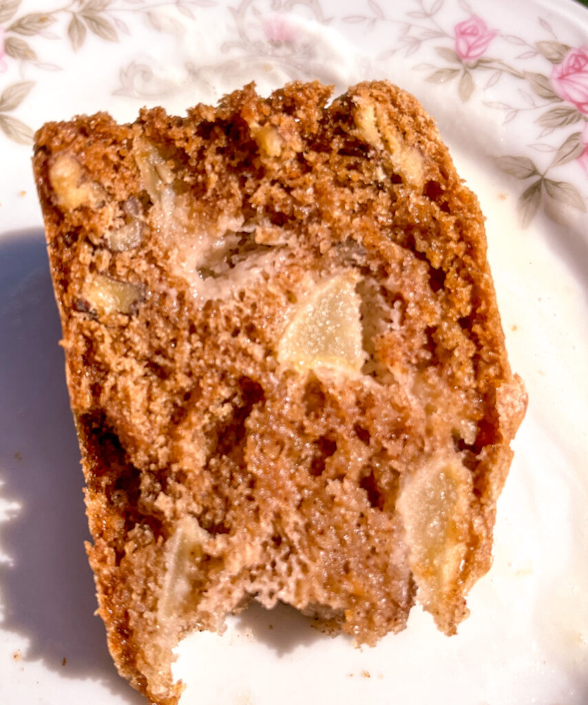 slice up close shot of moist apple cake
