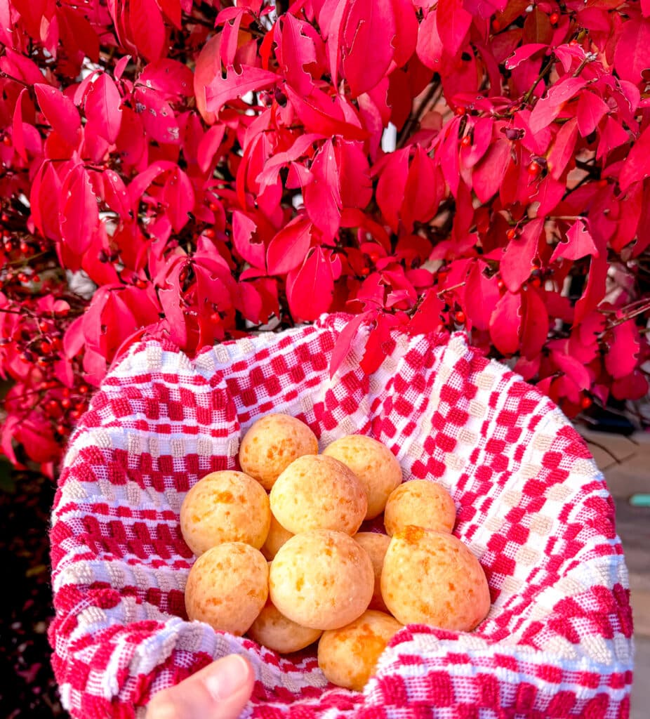 pao de queijo, brazilian cheese bread near fall foliage