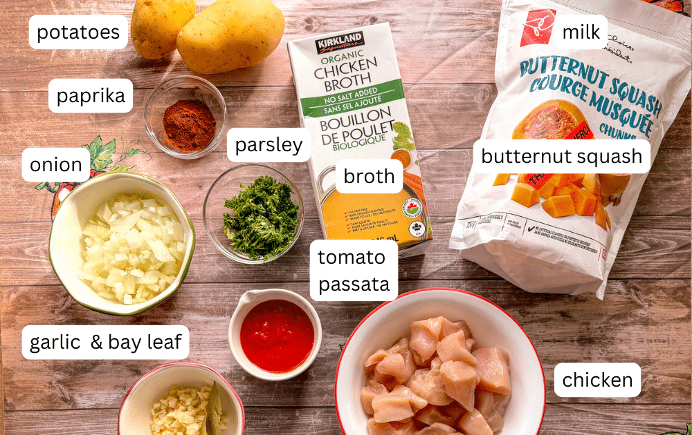 ingredients for chicken butternut squash soup