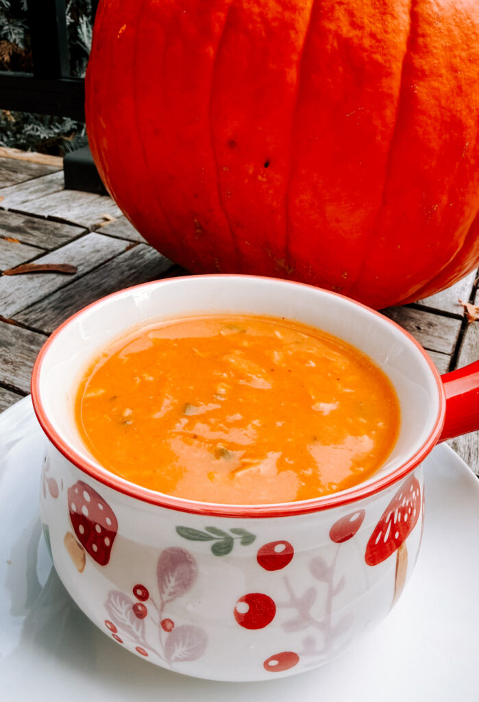 chicken butternuit squash in a red rimmed white bowl and mushrooms on it. 