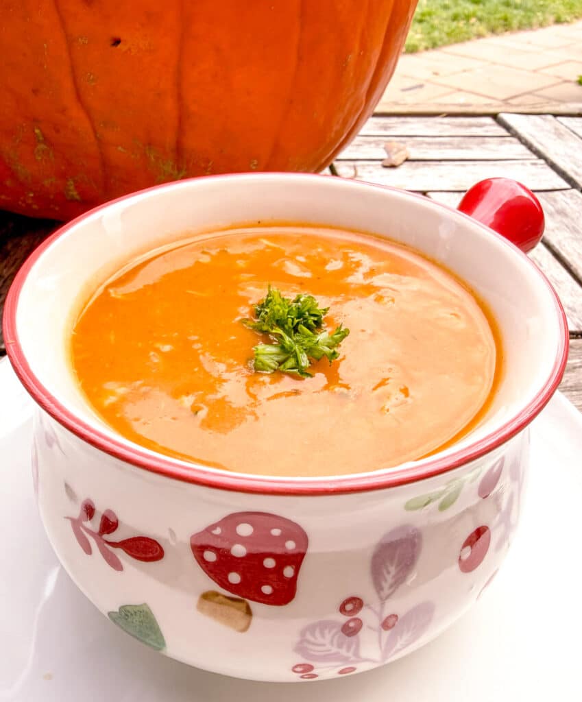 chicken butternut squash in a red rimmed white bowl with mushroom drawings