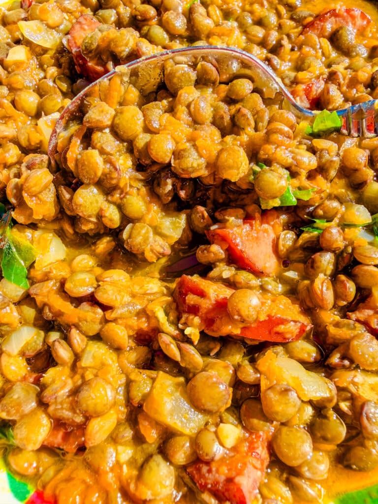 up close shot of brazilian style lentils