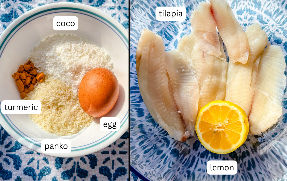 Coconut crusted tilapia ingredients including tilapia fillets, shredded coconut, panko breadcrumbs, eggs, lemon, and spices
