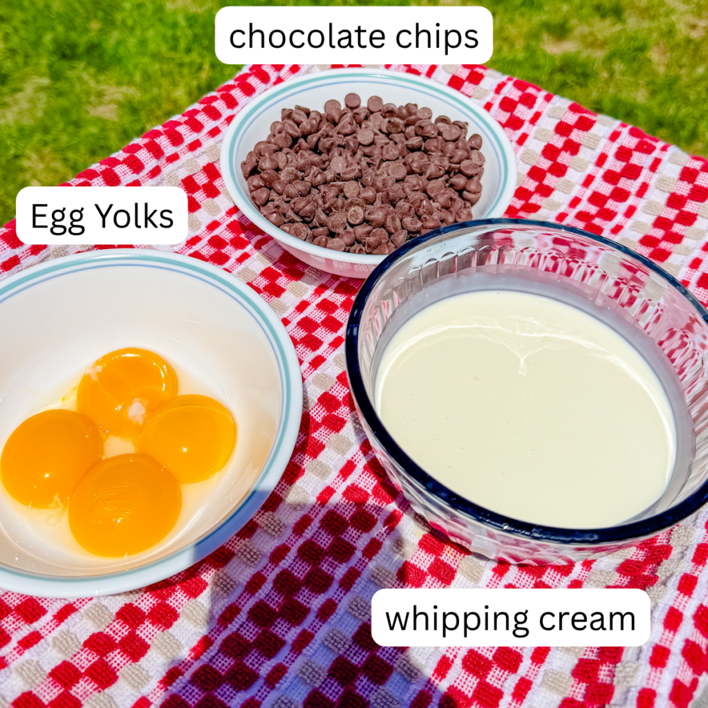 ingredient to make 3 ingredient chocolate ice cream