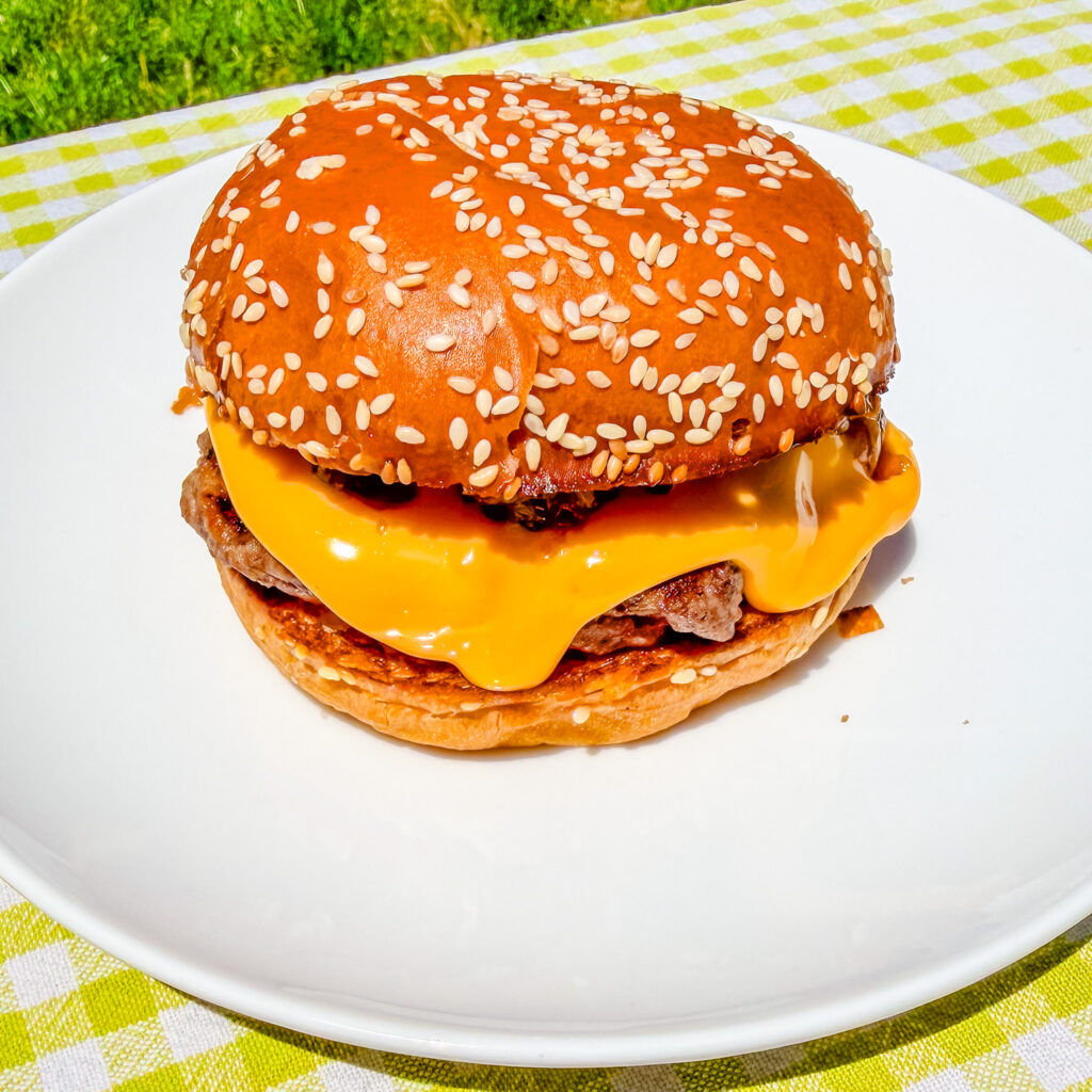 cheddar mc melt on a plate