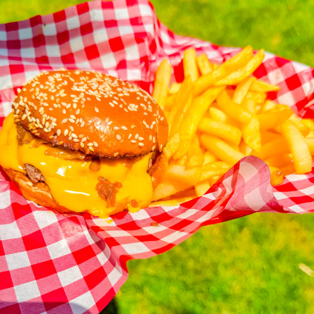 cheddar mc melt with fries